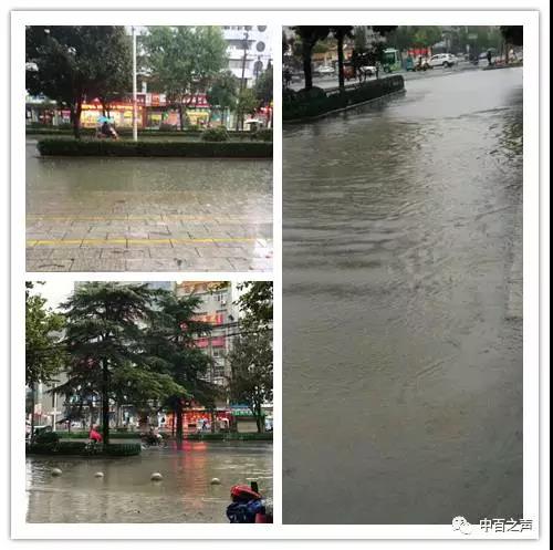 ʵ�ڹ���(�й���½)�ٷ���վ