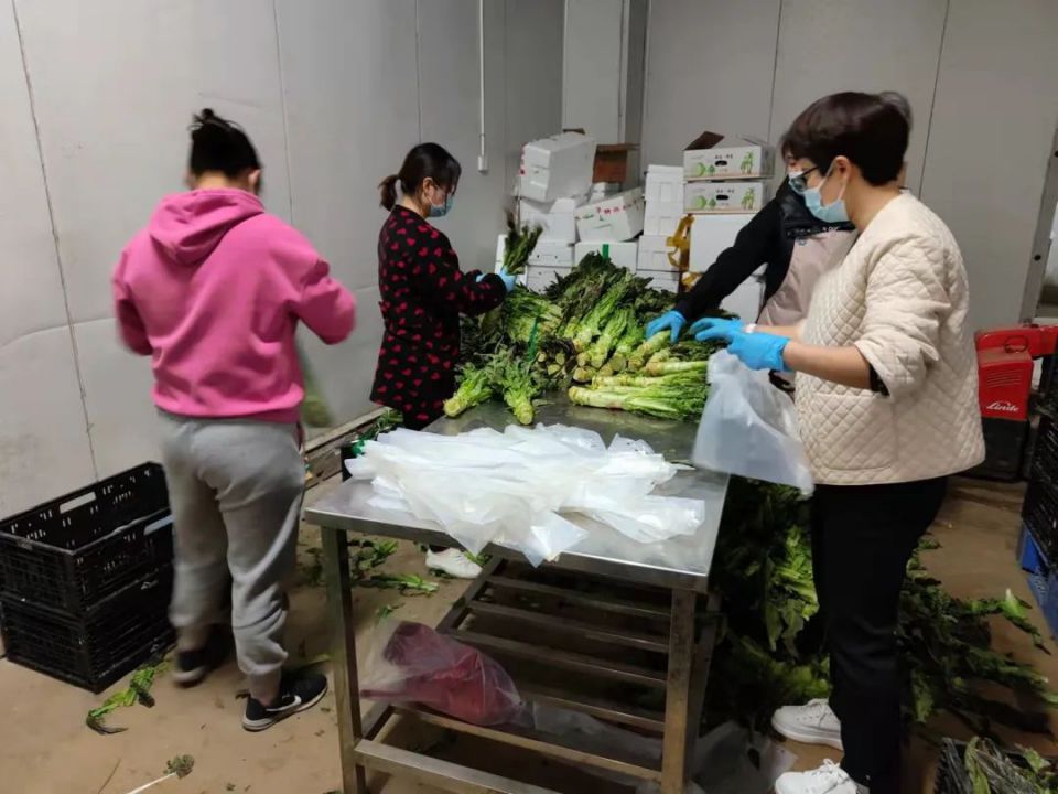 ʵ�ڹ���(�й���½)�ٷ���վ