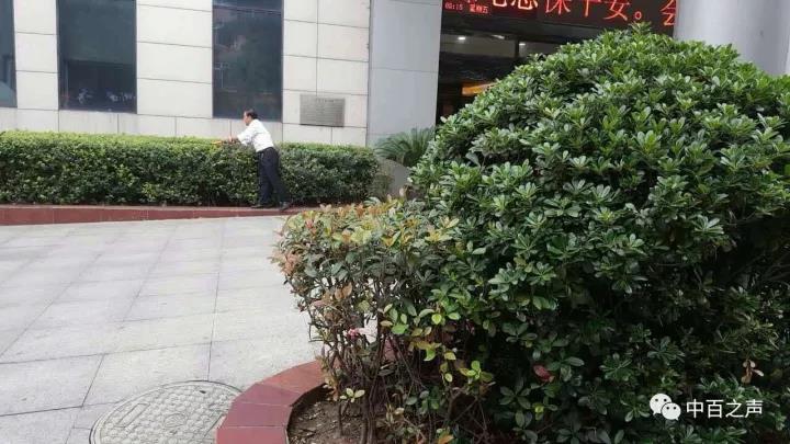 ʵ�ڹ���(�й���½)�ٷ���վ