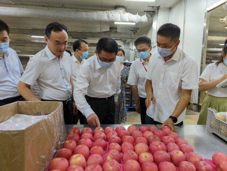 ʵ�ڹ���(�й���½)�ٷ���վ