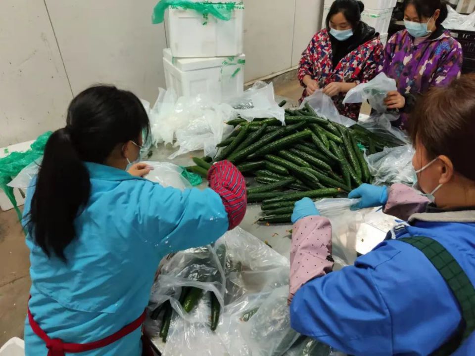 ʵ�ڹ���(�й���½)�ٷ���վ