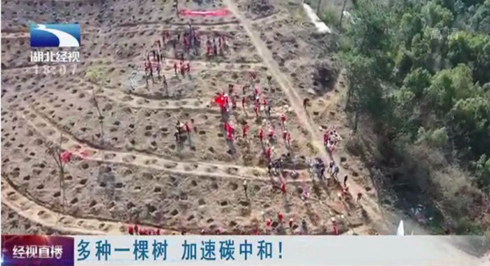 ʵ�ڹ���(�й���½)�ٷ���վ