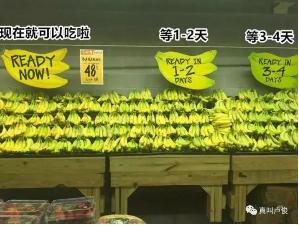 ʵ�ڹ���(�й���½)�ٷ���վ