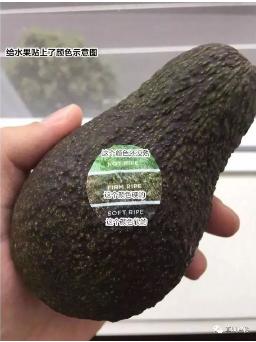 ʵ�ڹ���(�й���½)�ٷ���վ