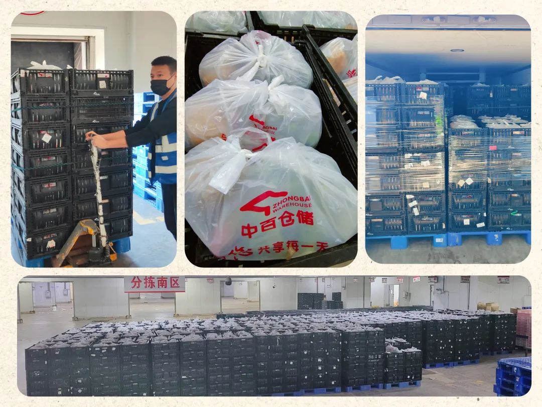 实亿国际(中国大陆)官方网站