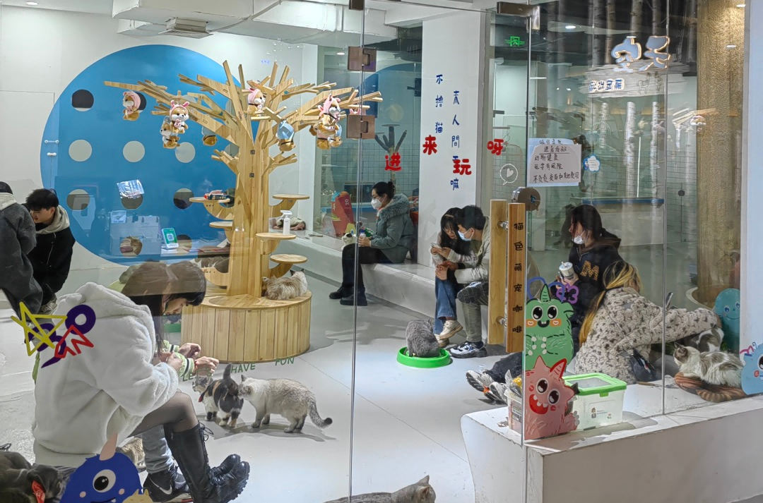 实亿国际(中国大陆)官方网站