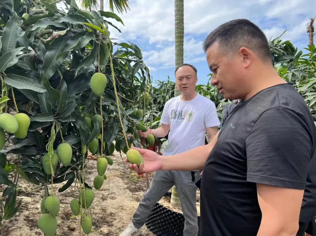 实亿国际(中国大陆)官方网站