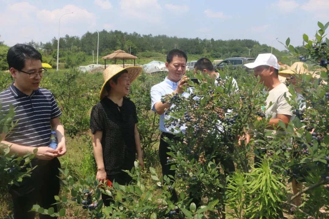实亿国际(中国大陆)官方网站