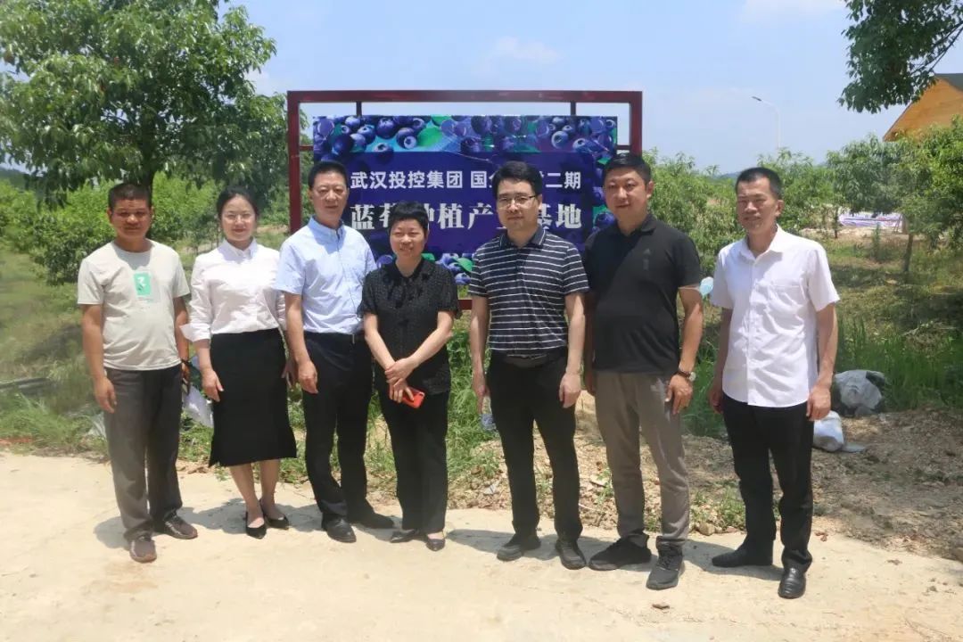 实亿国际(中国大陆)官方网站