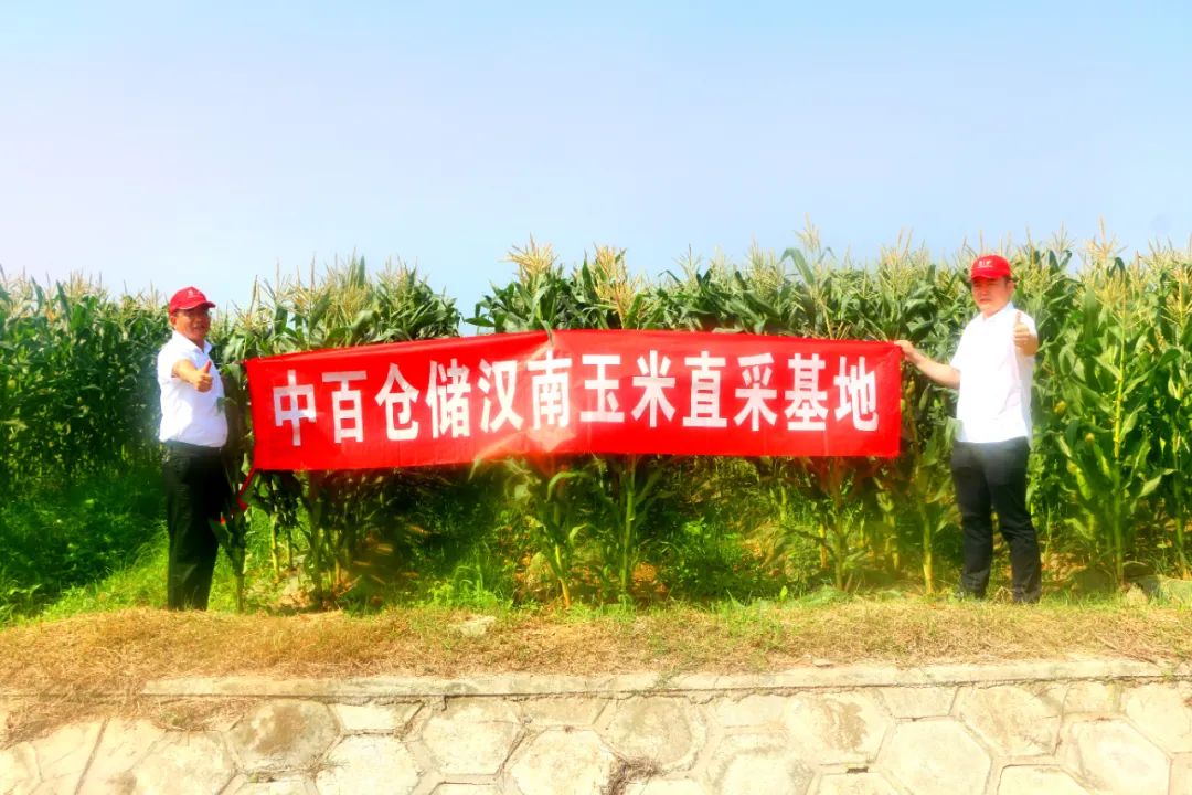 ʵ�ڹ���(�й���½)�ٷ���վ