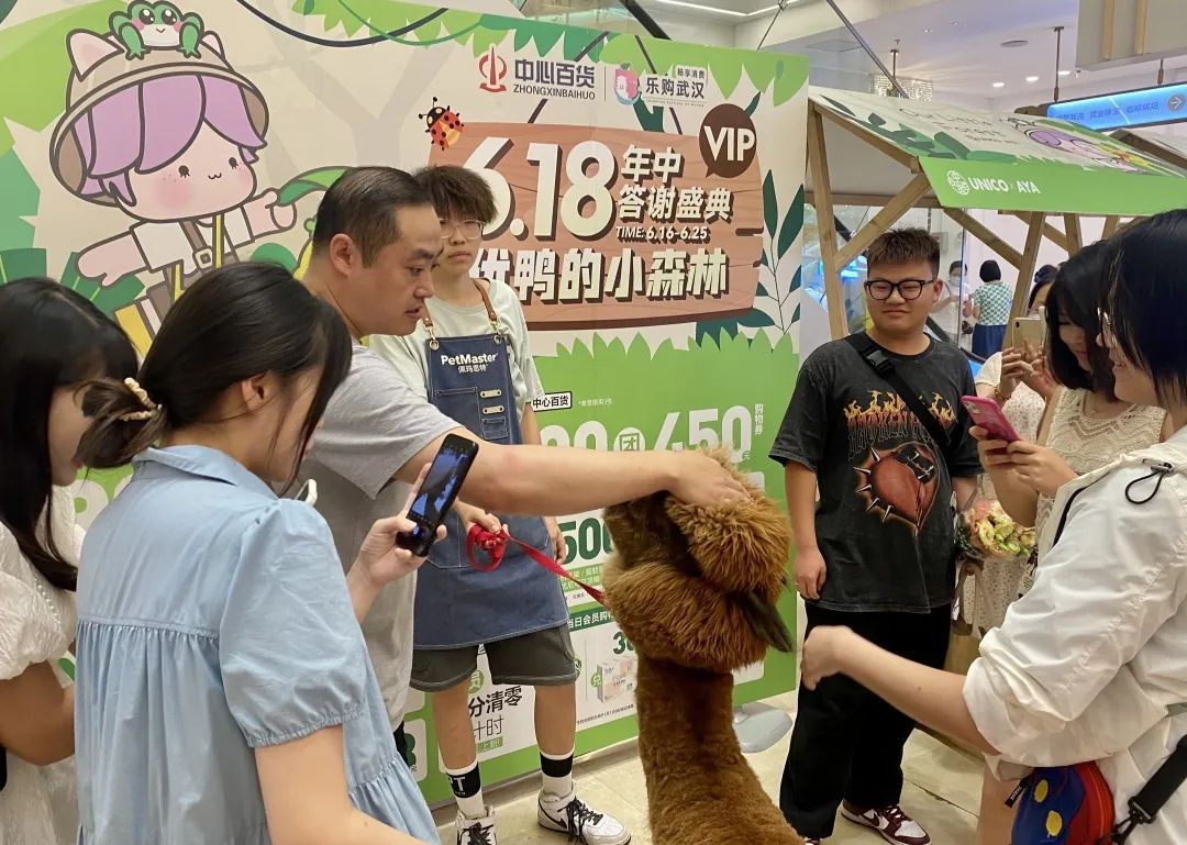 ʵ�ڹ���(�й���½)�ٷ���վ