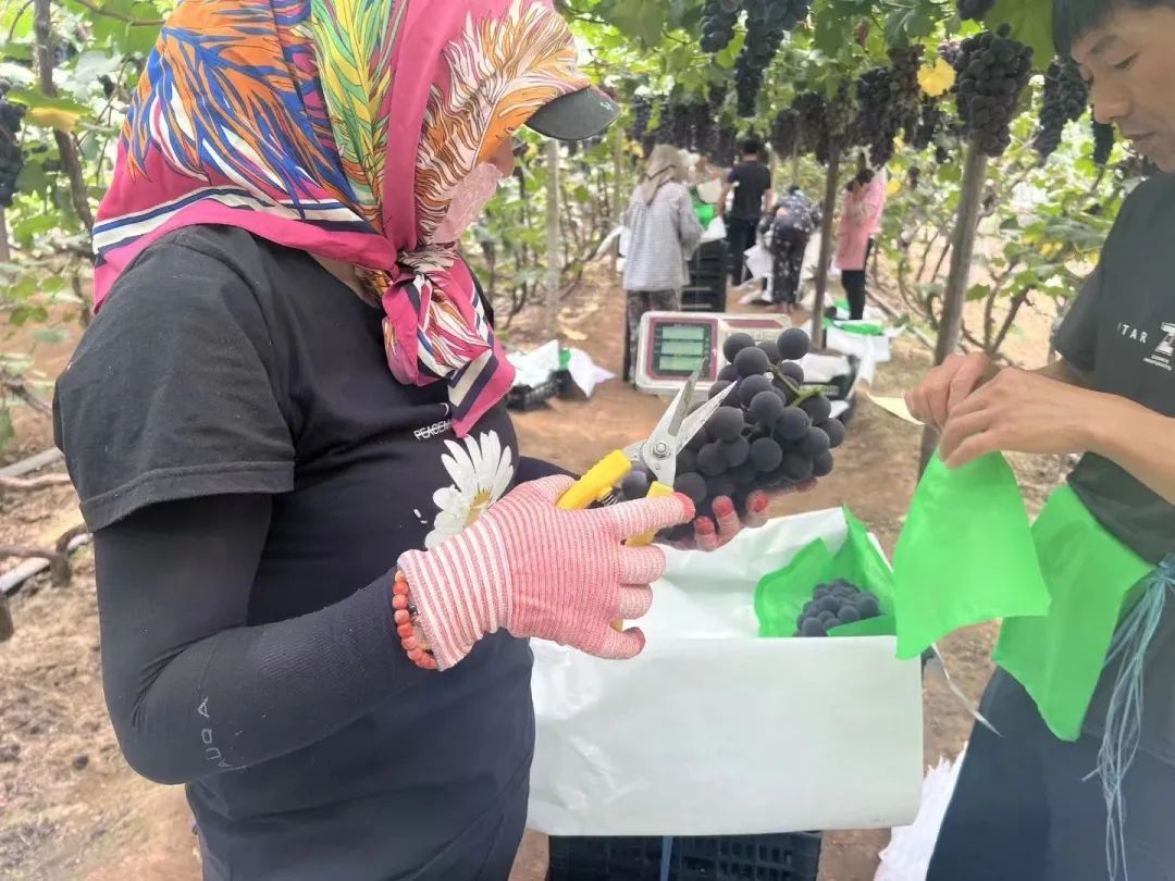 实亿国际(中国大陆)官方网站