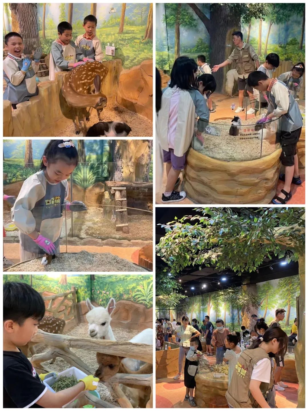 实亿国际(中国大陆)官方网站