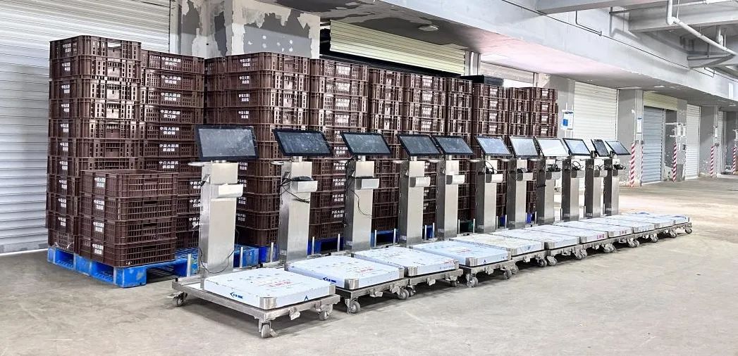 ʵÒÚ¹ú¼Ê(Öйú´ó½)¹Ù·½ÍøÕ¾