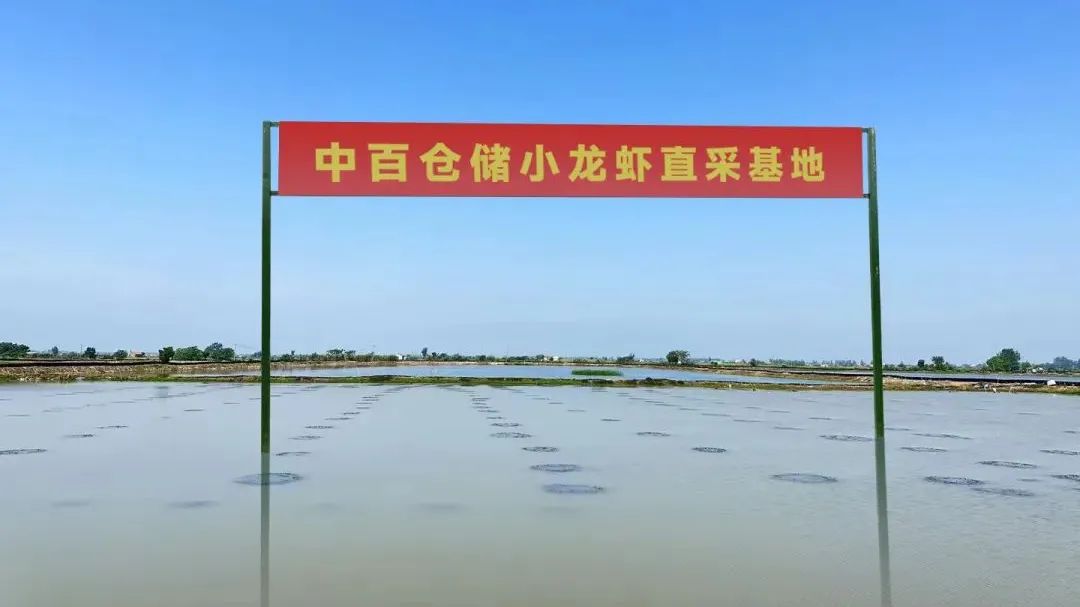 实亿国际(中国大陆)官方网站