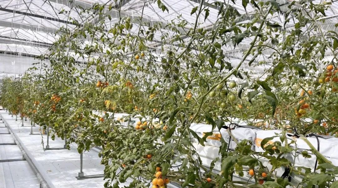 实亿国际(中国大陆)官方网站