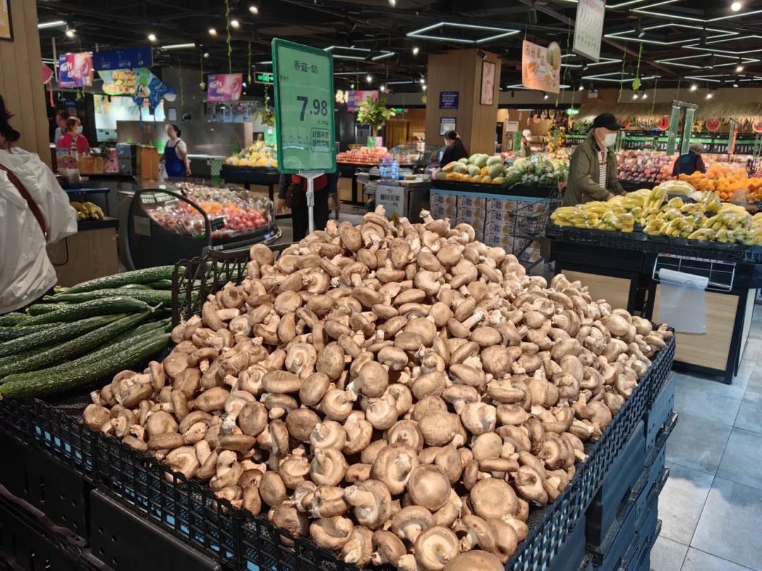 实亿国际(中国大陆)官方网站