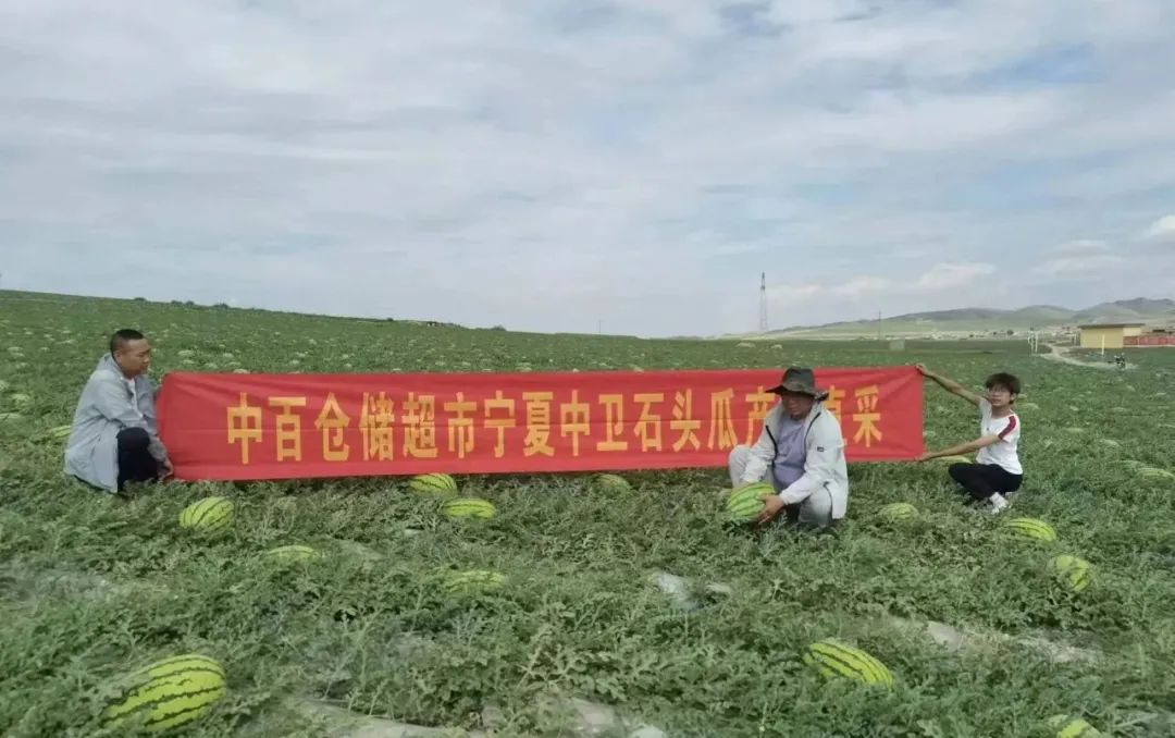 实亿国际(中国大陆)官方网站