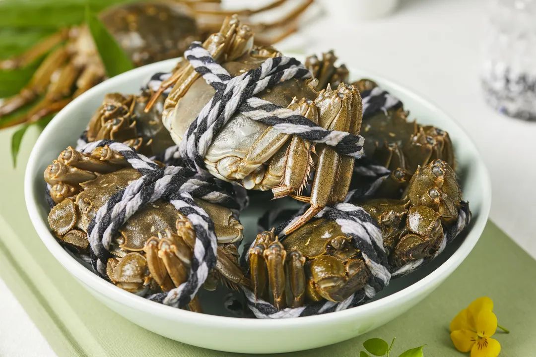 实亿国际(中国大陆)官方网站