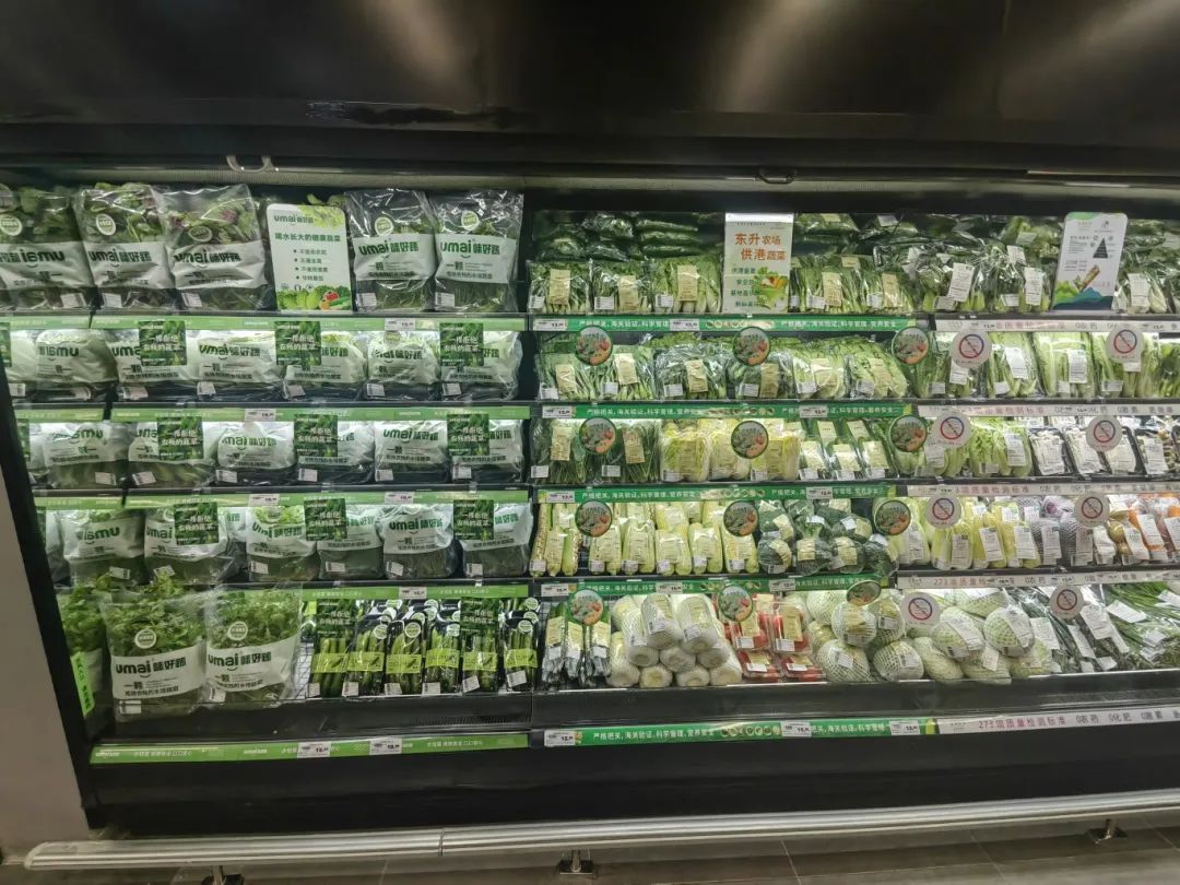 实亿国际(中国大陆)官方网站