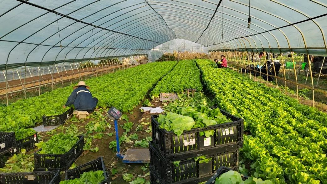 实亿国际(中国大陆)官方网站