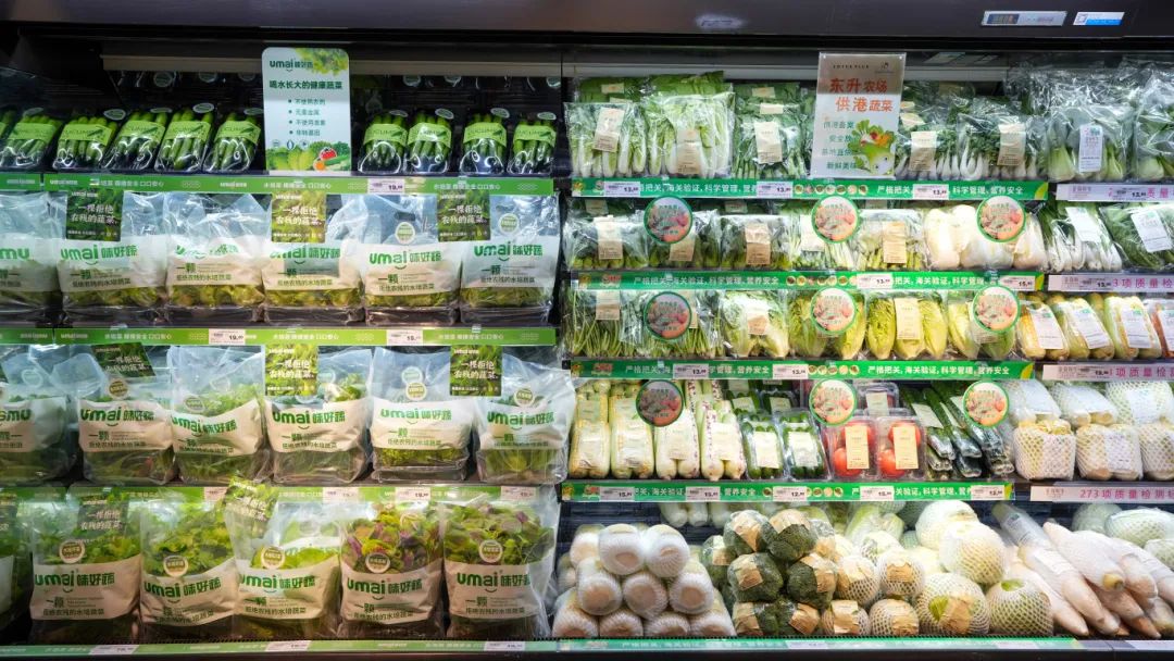 实亿国际(中国大陆)官方网站